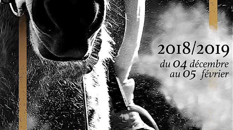 HIPPODROME PAU 1