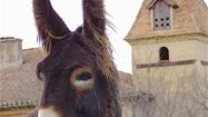 ASINERIE EMBAZAC 8