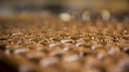 CHOCOLAT 2
