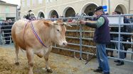 FOIRE GERS 8