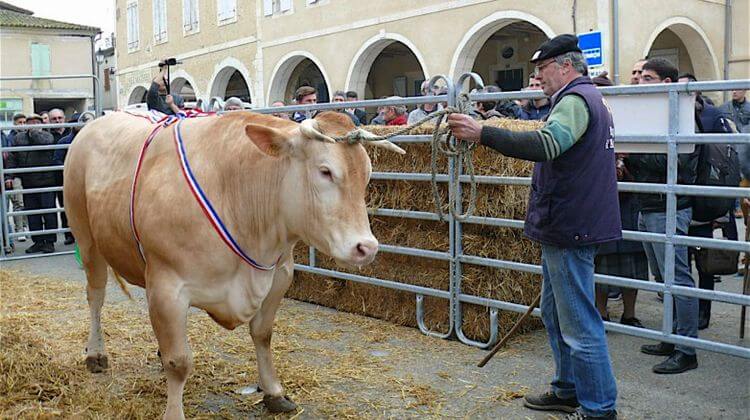 FOIRE GERS 8