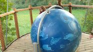 BIODIVERSITE OCCITANIE 1