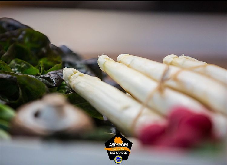 Maïsadour recrute des producteurs d’asperges