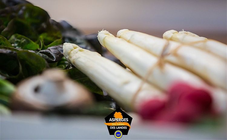 COUP DE CŒUR – Les producteurs et les chefs célèbres l’asperge des sables