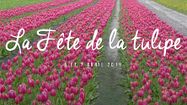 SOUSTONS TULIPES 3