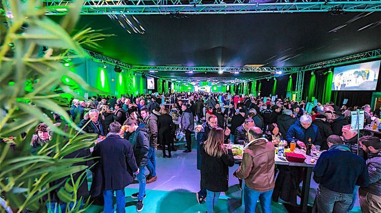SECTION HALL VIP Perchicot 7