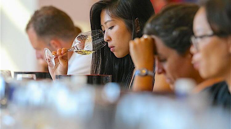 VINEXPO LABEGUERIE