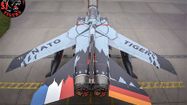 TIGER MEET 7