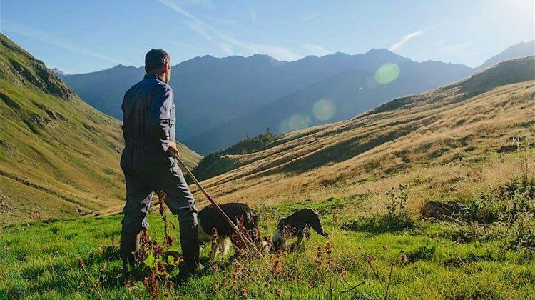 LARUNS PASTORALISME 0