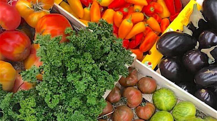 FRUITS LEGUMES