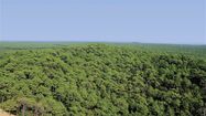 FORET SYLVICULTEURS 0