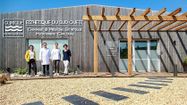 CHIRURGIE ESTHETIQUE HOSSEGOR 0