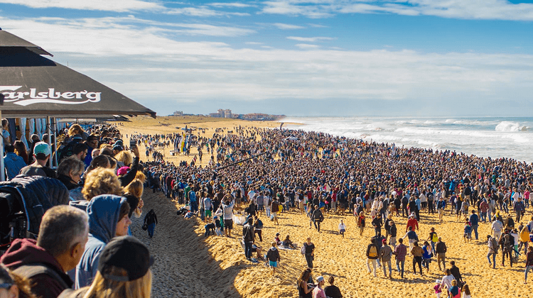 SURF LANDES