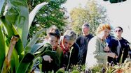 GERS PLANTES 2