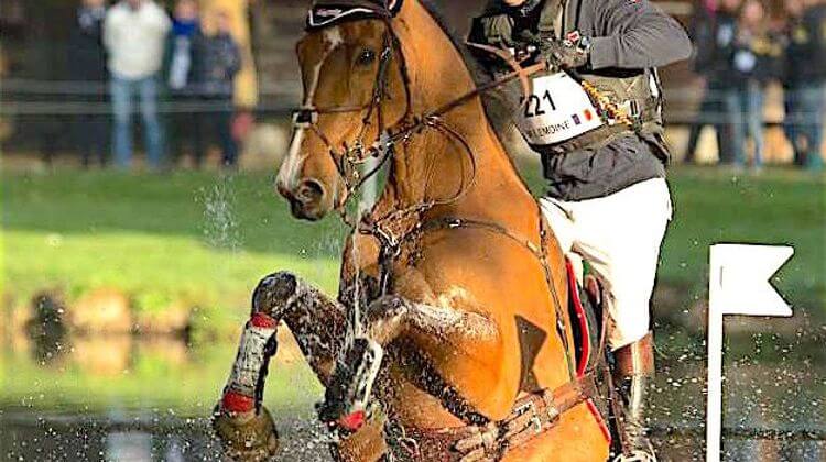 CCI CHEVAL 5