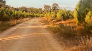 LA LA LANDES 9