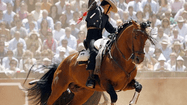 PL BAYONNE CORRIDA CHEVAL