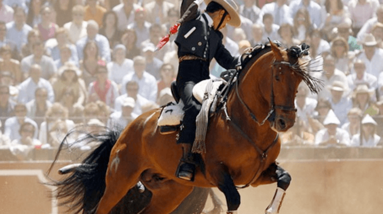 PL BAYONNE CORRIDA CHEVAL