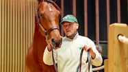 HARAS LALANNE GERS 0