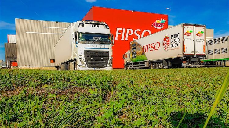 FIPSO 0