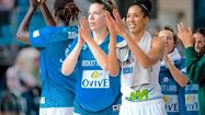 BASKET LANDES