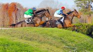 HIPPODROME PAU 5