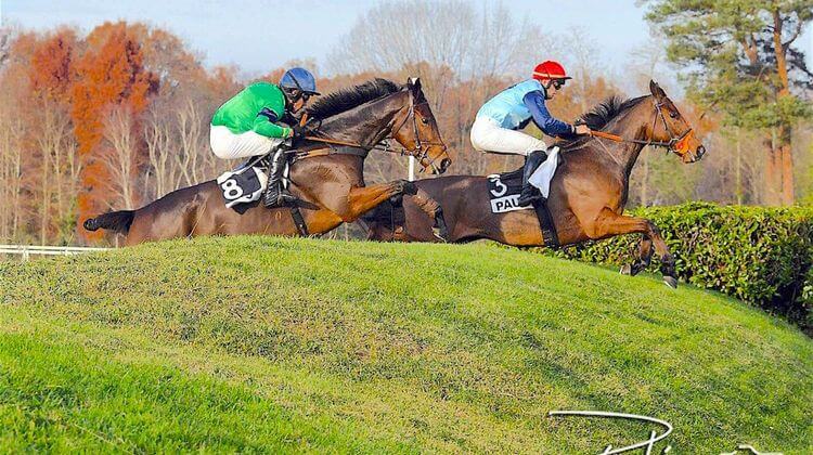 HIPPODROME PAU 5