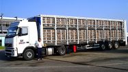 TRANSPORTS DAUGA CANARDS 3