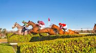 HIPPODROME PAU 1