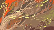ARBORETOOM 00