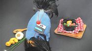 POULE NOIRE ASTARAC 1