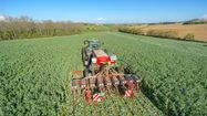 NATAIS AGRICULTURE 8