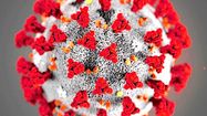 CORONAVIRUS 4
