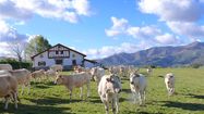 AGRICULTEUR 64 3