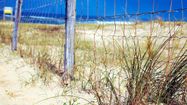 Plage Hossegor