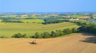 NATAIS AGRICULTURE 10