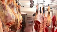 BOEUF 1