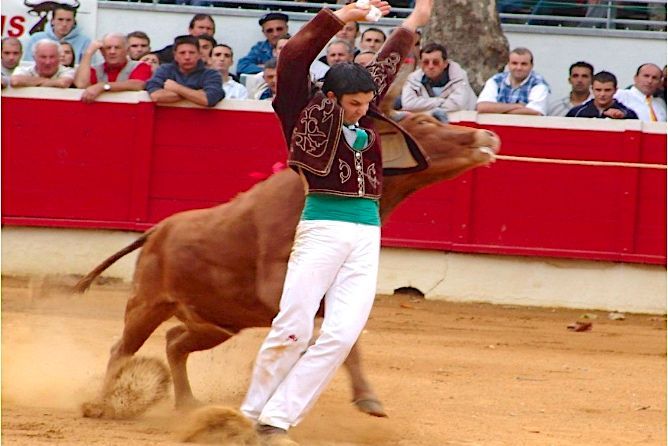 COURSES LANDAISES 0