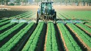 CULTIVONS NOUS 1