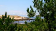 LANDES Lous Seurrots