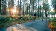 LANDES VELO 2