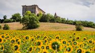 GERS TOURNESOL 0