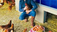 FERME CAZENAVE 0