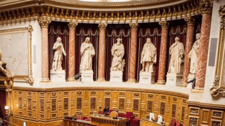SENAT*3