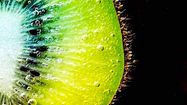 KIWI OSCAR 0