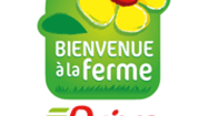 DRIVE LOGO