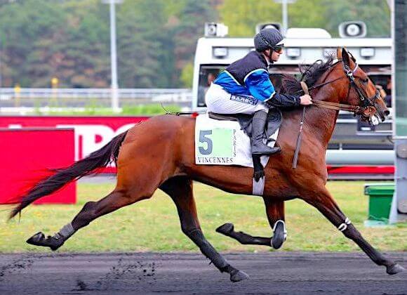 CHEVAL ETONNANT