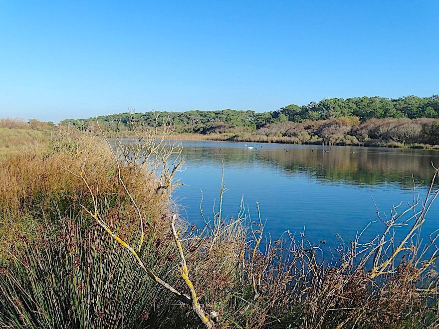 Le parc écologique Izadia d’Anglet a repris vie - PresseLib