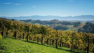 VIGNOBLES EN SCÈNE - Trois jours d’expériences inédites autour du Jurançon