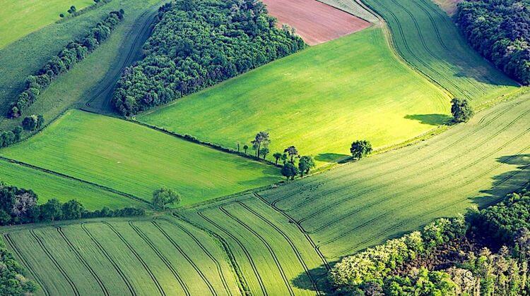 AGRICULTURE